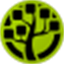 WinDirStat icon